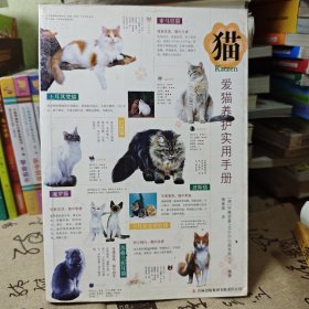猫：爱猫养护实用手册