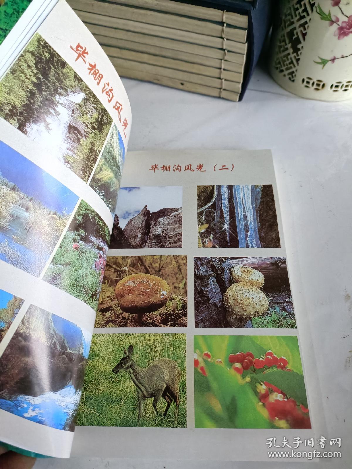 理县政协文史资料选辑（第二辑）