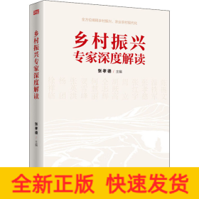 乡村振兴专家深度解读