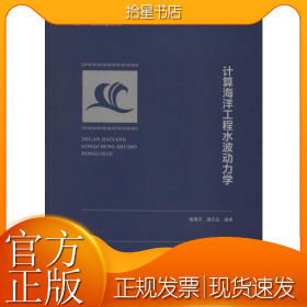 计算海洋工程水波动力学