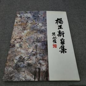 杨正新画集