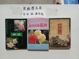 种花，室内盆栽花卉（第二版），盆景共三本