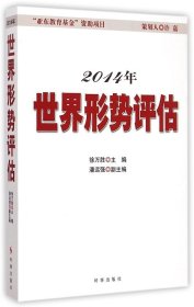 2014年世界形势评估