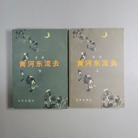 黄河东流去 上下