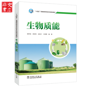 “十四五”普通高等學(xué)校本科規(guī)劃教材 生物質(zhì)能