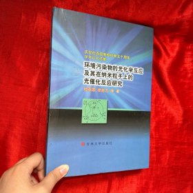 环境污染物的光化学反应及其在纳米粒子上的光催化反应研究【精装 16开】