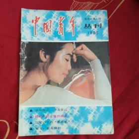 中国青年从刊1985。6元包邮。