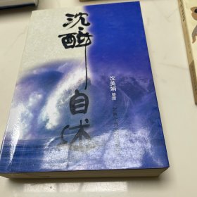 沈醉自述