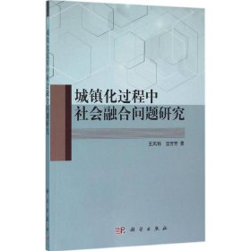 城镇化过程中社会融合问题研究