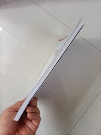 气候变化突发影响:预见意外