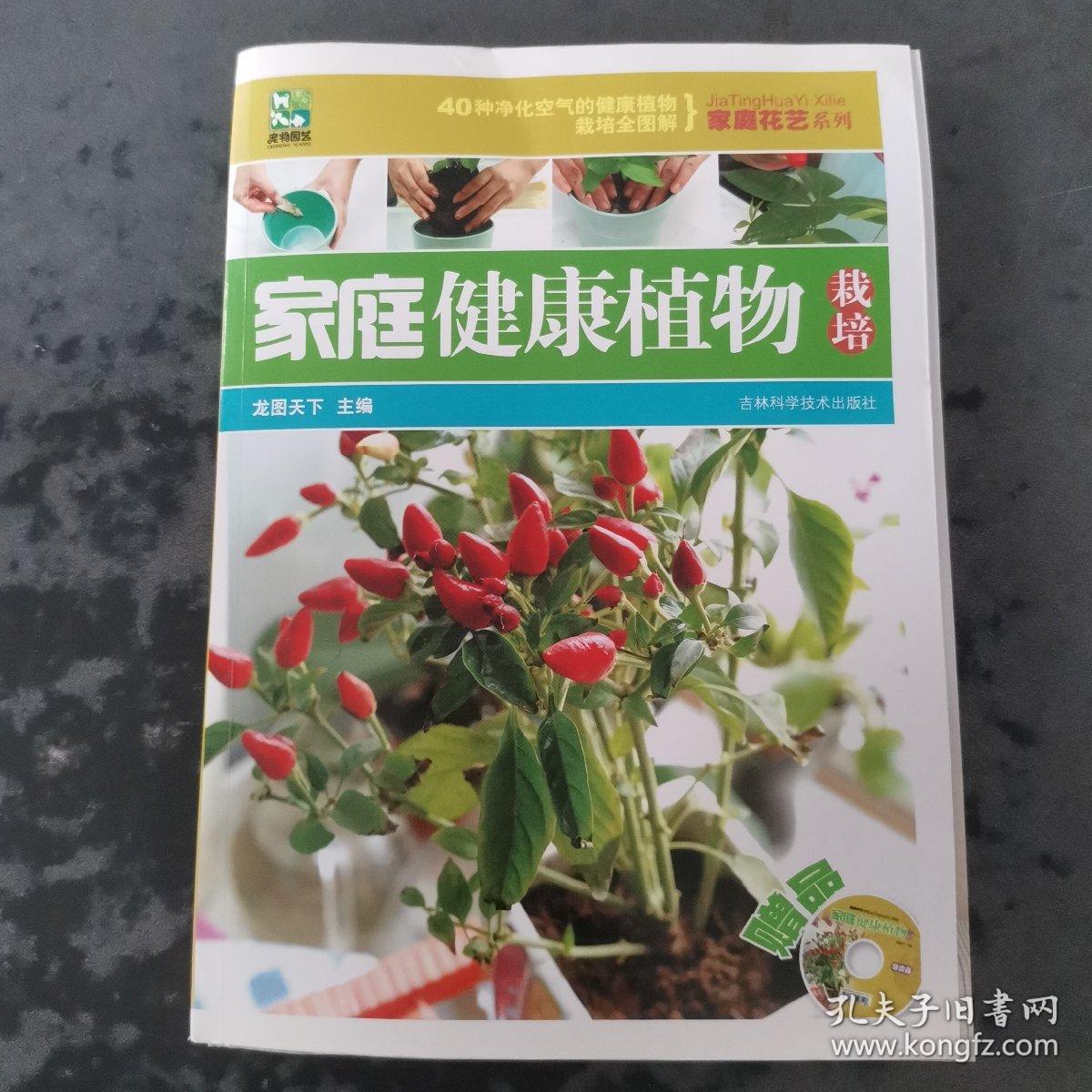 家庭健康植物栽培