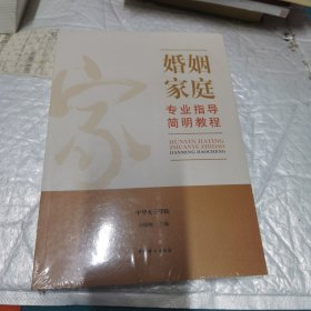 婚姻家庭专业指导简明教程 未开封