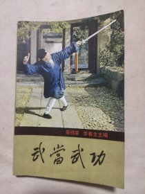 武当武功（本书内页盖有政治审用印章，并盖有未知文字大红印章一枚，详见 如图）