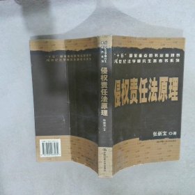 侵权责任法原理