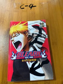 BLEACH 死神 彩绘终极典藏