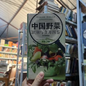 《完美假期》编写组