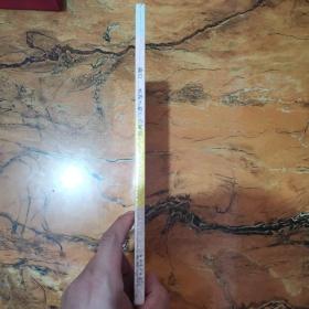 太阳上有个小黑点