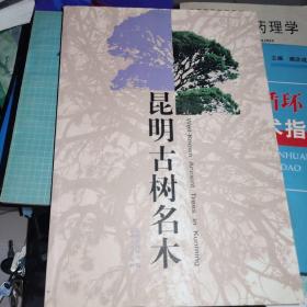 昆明古树名木