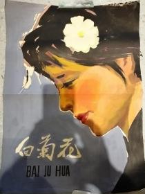 江苏省水彩画研究会会长兼秘书长常厚鍟出版作品 白菊花的封面   约3平尺    终身保真