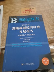 2016年湖南县域经济社会发展报告：县域特色产业发展研究