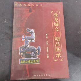 盘龙城文物精品图录