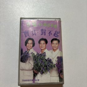 宝贝对不起 磁带