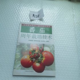 番茄周年栽培技术
