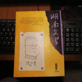 湖南文学1989年第1期