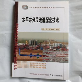 水平井体积压裂改造技术系列丛书：水平井分段改造配套技术