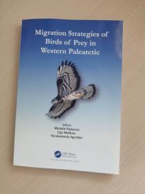 Migration Strategies of Birds of Prey in Western Palearctic.