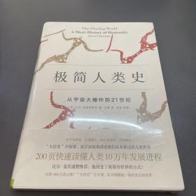 极简人类史：从宇宙大爆炸到21世纪