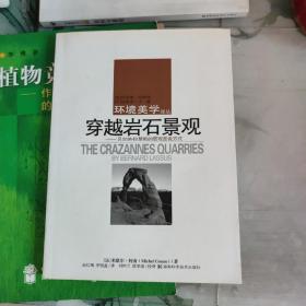 穿越岩石景观：贝尔纳·拉絮斯的景观言说方式