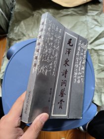 毛泽东诗词鉴赏