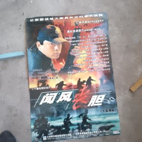 闻风丧胆电视海报