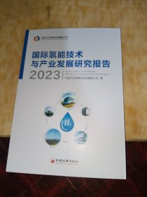 国际氢能技术与产业发展研究报告2023
