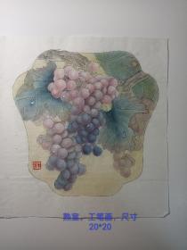 工笔画，国画，纯手绘，葡萄，熟宣