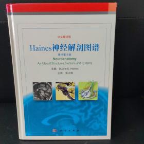 Haines神经解剖图谱（翻译版，原书第8版）