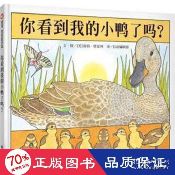 信谊宝宝起步走：你看到我的小鸭了吗？