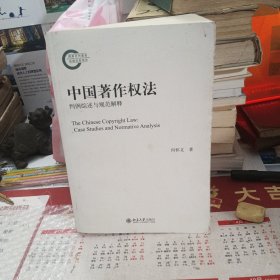 中国著作权法：判例综述与规范解释