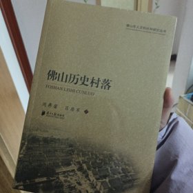 佛山市人文和社科研究丛书:佛山历史村落