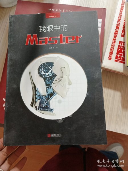 我眼中的Master