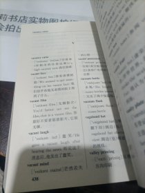 新编英语习惯搭配速查词典