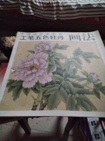 工笔五色牡丹画法