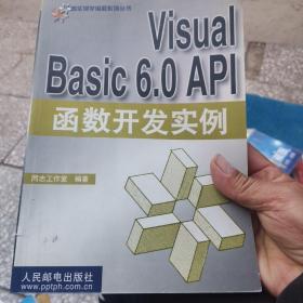 Visual Basic 6.0 API函数开发实