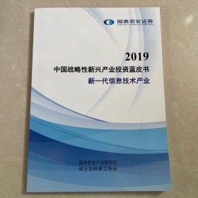 2019中国战略性新兴产业投资蓝皮书 新一代信息技术产业