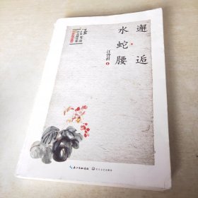 邂逅 水蛇腰：汪曾祺作品精选集卷四（手绘彩插珍藏版）