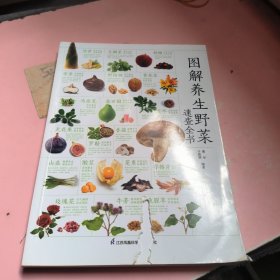 图解养生野菜速查全书