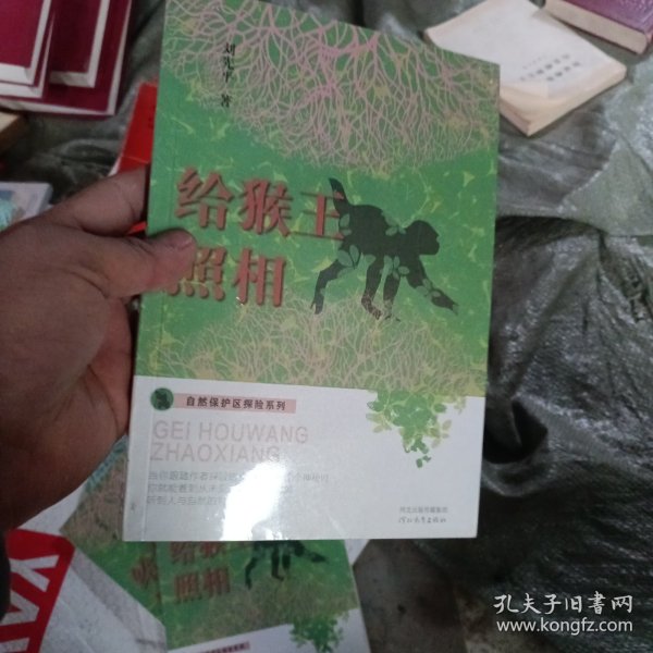 自然保护区探险系列——给猴王照相