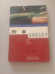 刑事案例精选精评——案例精选精评丛书