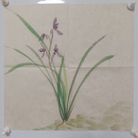 无款国画兰花作品画一尺斗方字画书画写意花鸟画 全新作品 枸皮麻纸绘制
